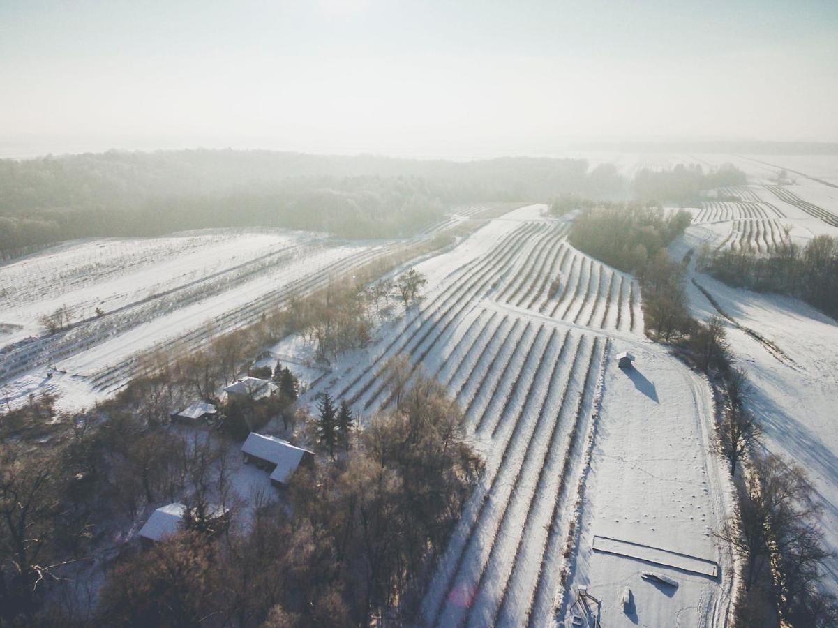 Chata Nad Wawozem Naleczow Exterior photo